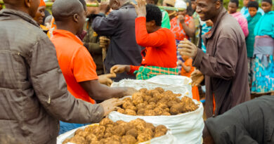 Rubavu: Uburyo Bushya bw’Ifumbire Bwongereye Umusaruro Abahinzi Bibatera Ishema