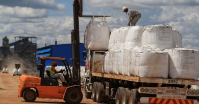 Zimbabwe yahagaritse kohereza mu mahanga amabuye adatunganyije