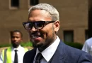 Uwari umukozi mu rugo rwa Chris Brown arashaka kwereka urukiko uko imbwa yamurumye bikomeye