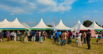 Imodoka z’Amashanyarazi Zageze Mukinigi murwego rwo kubungabunga Ibidukikije